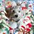 Ginny Nulty's profile image