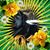 Agnes Pelczar's profile image