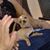 Karen Stepp's profile image