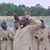 Ahmed Abdullah's profile image