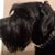 JasonandNancy Elrod's profile image