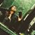 Shayla Jade's profile image