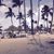 Wendall Harris's profile image