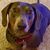 William Breaux's profile image