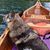 Allison Genevieve's profile image