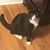 Jenny Ann's profile image