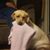 Wanda Granger-Eddy's profile image