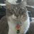 Tia Scarbrough's profile image