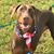 Betty Ann Mccracken's profile image