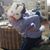 Pam Heuwagen-Karem's profile image