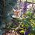 Patricia Tracy's profile image