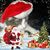 Sue Hartness's profile image