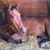 Kim Robinson Haines's profile image