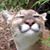 Walter Masten's profile image