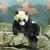 Rhonda Bergamo's profile image