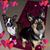 Sal Briner's profile image