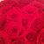 Yelena Yelena's profile image
