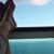 Alcira Proenza-Collazo's profile image