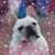 Denice Ray's profile image