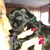 Kip Lusher Avery's profile image