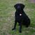 John Lacy's profile image