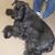 Mary Harrigan's profile image
