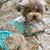 Tareva Henderson Boone's profile image
