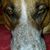 Mark Herman's profile image