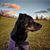 Heather Guest's profile image