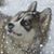 Rhonda DeWitt's profile image