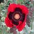 Rita Harvey's profile image
