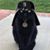 Samantha Louise's profile image