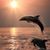 Melissa Bailey's profile image