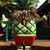 Mike Turon's profile image