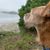 David Blakesley's profile image