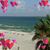 Andrea Swink Hogsten's profile image