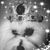 Laci Sunshine's profile image