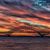 Diane Pelker's profile image