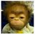 Pancha Esquivel's profile image