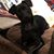 Karen Martin Medbery's profile image