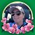 Kelly Carr's profile image