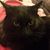 Gina Hollingsworth's profile image