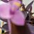 Mary Kroepel's profile image