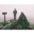 Anthony Mulone's profile image