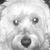 Coke Beverly's profile image