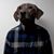 David Gar's profile image