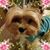 Andie Wycoff's profile image