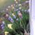 Mary Jane Piersa's profile image