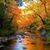 Johannah Rathkamp's profile image