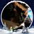 Karin Davis Crabbe's profile image